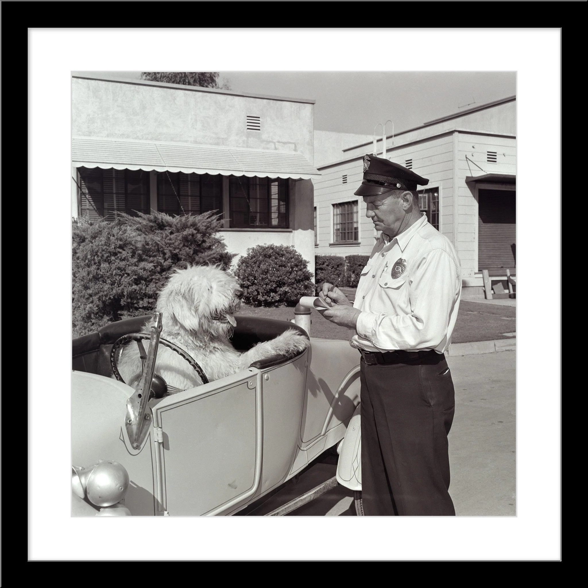 "The Shaggy Dog Speeding Ticket" from Disney Photo Archives - Image 8